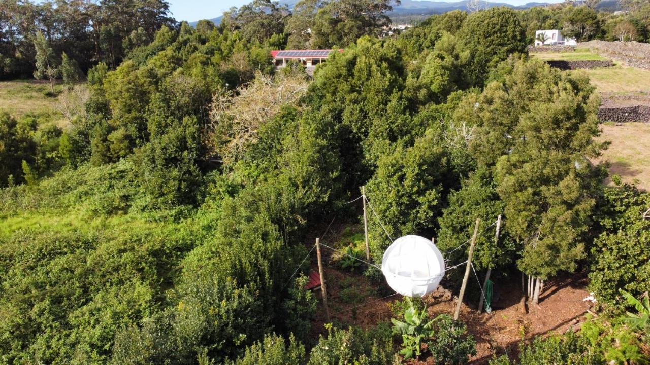 Quinta Do Abacate - Glamping Park Villa อังกรา ดู เอโรอิสโม ภายนอก รูปภาพ