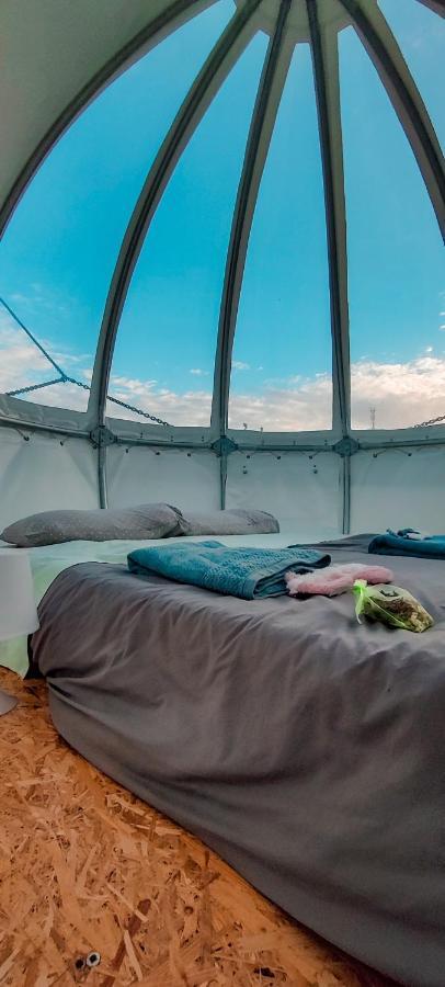 Quinta Do Abacate - Glamping Park Villa อังกรา ดู เอโรอิสโม ภายนอก รูปภาพ