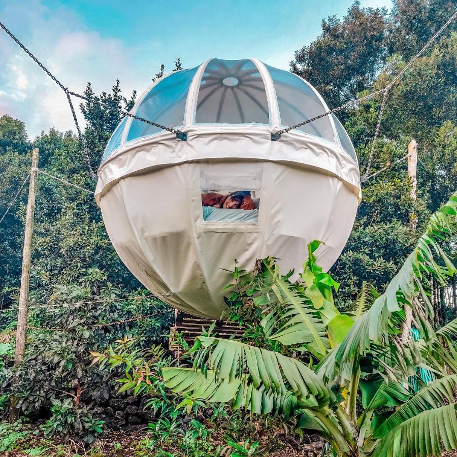 Quinta Do Abacate - Glamping Park Villa อังกรา ดู เอโรอิสโม ภายนอก รูปภาพ